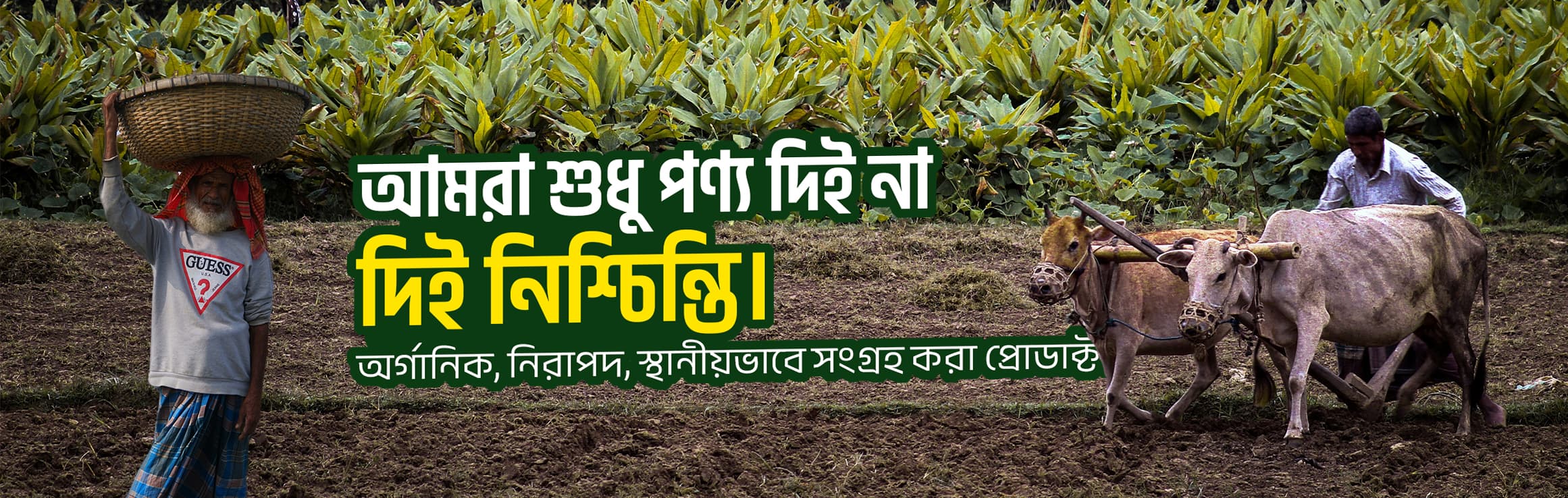 ডেলিভারি আপনার দোরগোড়ায়